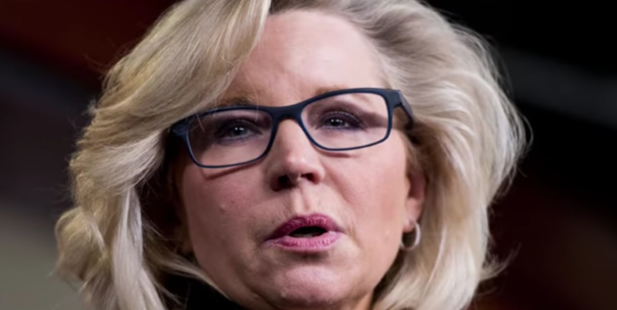 Check Out What  Wyoming Voters Had To Say About Liz Cheney - She Did This To Herself!
