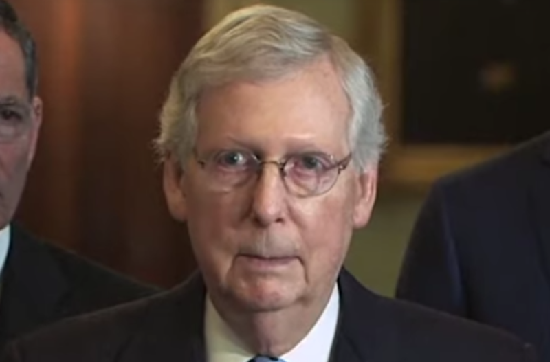 Former WH Advisor Scorched Ole Mitch McConnell In The Best Way, Facts