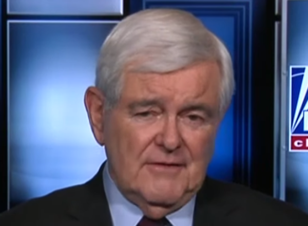 Gingrich Slams Cry-Baby Snowflakes, Tells Them All Where To Stick It - The Blame