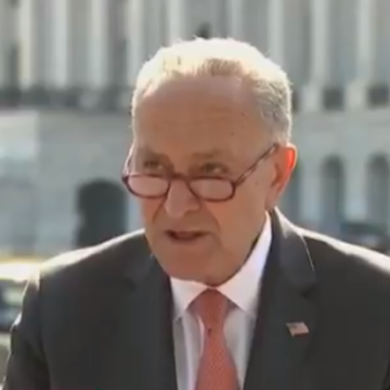 Schumer's Immigration Plan Is Just Madness, You Won't Believe Why He's In On It