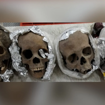 WOW Mexico Mailed US 4 Human Skulls: Authorities Report