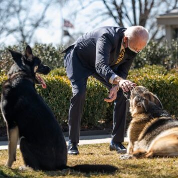 Biden is Having Dog Trouble Again