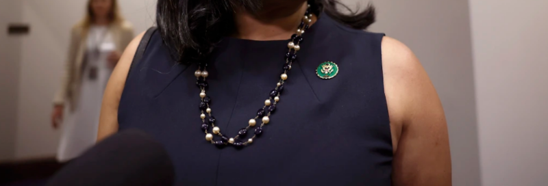 Rep. Pramila Jayapal Retracted Comment Has Landed Her In Hot Water