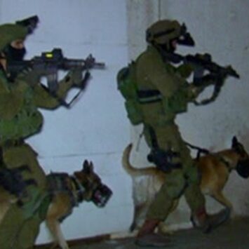 IDF K-9 Unit Hailed Heroes, Make Incredible Rescue