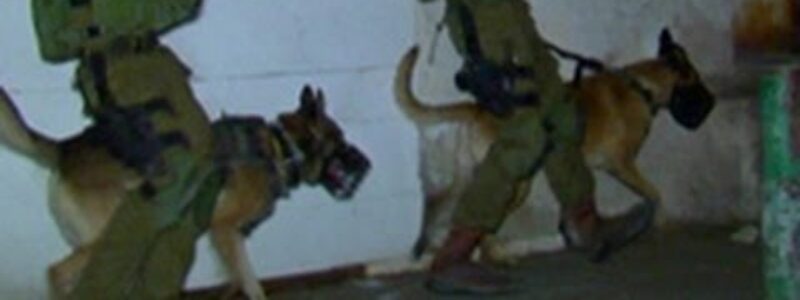 IDF K-9 Unit Hailed Heroes, Make Incredible Rescue