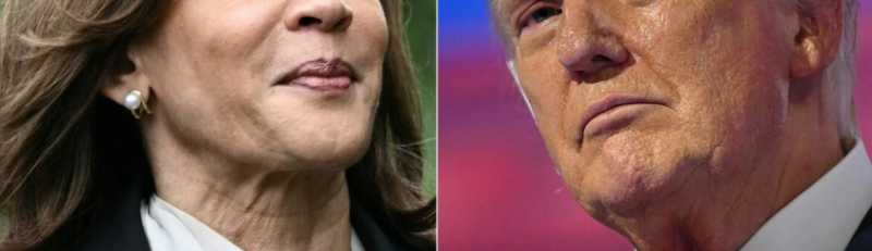 Trump Comments On Kamala Proposal