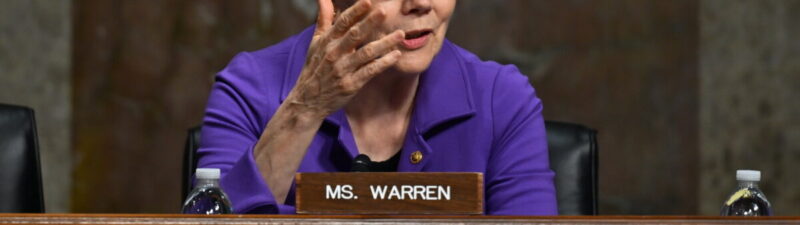 Liz Warren Comments On Insider Trading