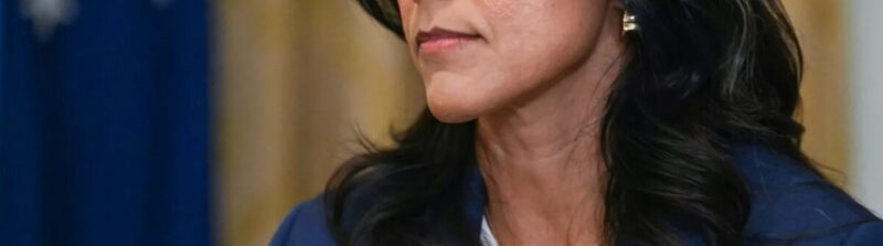 Gabbard Gives Update Following Her Release Of Documents