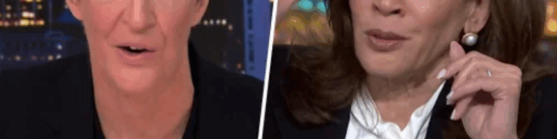 Harris Sits Down For Maddow Interview