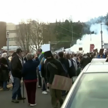 Video: Protesters Run Wild in Portland