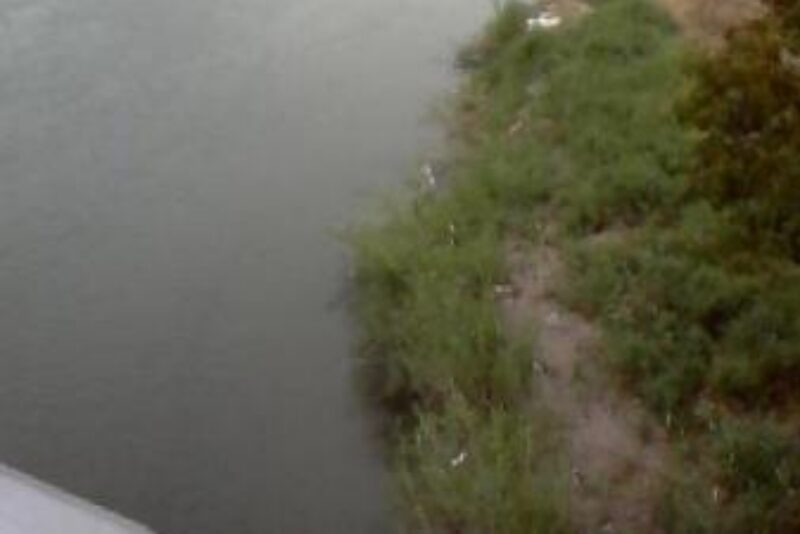 Border Patrol Rescues Young Migrant Girl En Route To Her American ‘Sponsor’ - A 44yo Sex Offender