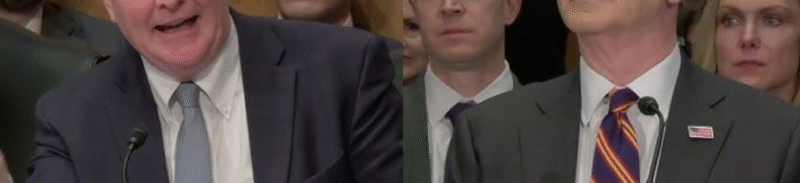 Senator Asks Trump Official About Statement