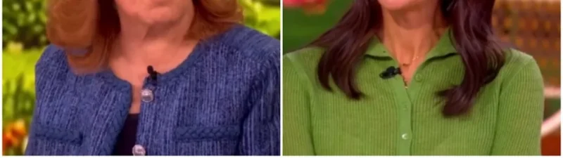 Joy Behar Clashes With Conservative Co-Host Over Military Accomplishments