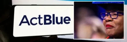 Democrat Fundraisers Plead the 5th During Foreign Donations Investigation