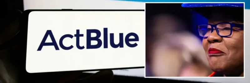 Democrat Fundraisers Plead the 5th During Foreign Donations Investigation