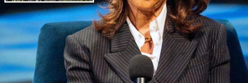 Kamala Harris Gas Price Comments Draw Fire