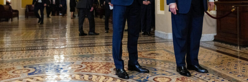Leaked Documents Reveal Senate Republicans SAVE Act Plan