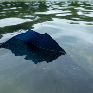 Interior Secretary Speaks About Reflecting Pool Damage