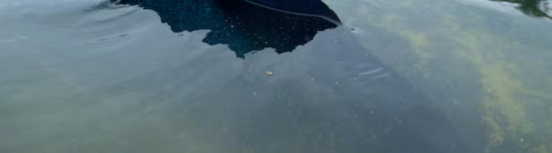 Interior Secretary Speaks About Reflecting Pool Damage
