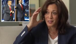 Kamala Harris Claims GOP Is Cheating Ahead of 2026 Midterms