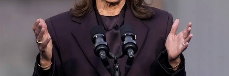 Kamala Harris Calls Voter Roll Purges Cheating While Pushing 2028 Bid