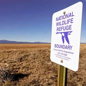 Trump Opens Millions Of Acres For Hunters And Anglers